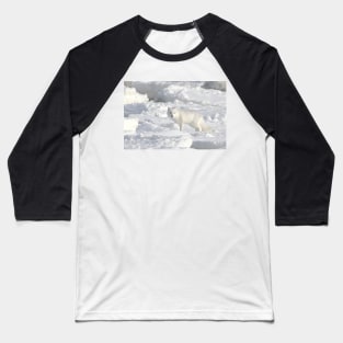 White on White. Arctic Fox #1, on the Tundra, Hudson Bay, Canada Baseball T-Shirt